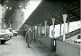 Le Pescherie di Riviera dei Ponti Romani, fotografia originale Giordani del 20 Febbraio 195 (Massimo Pastore)